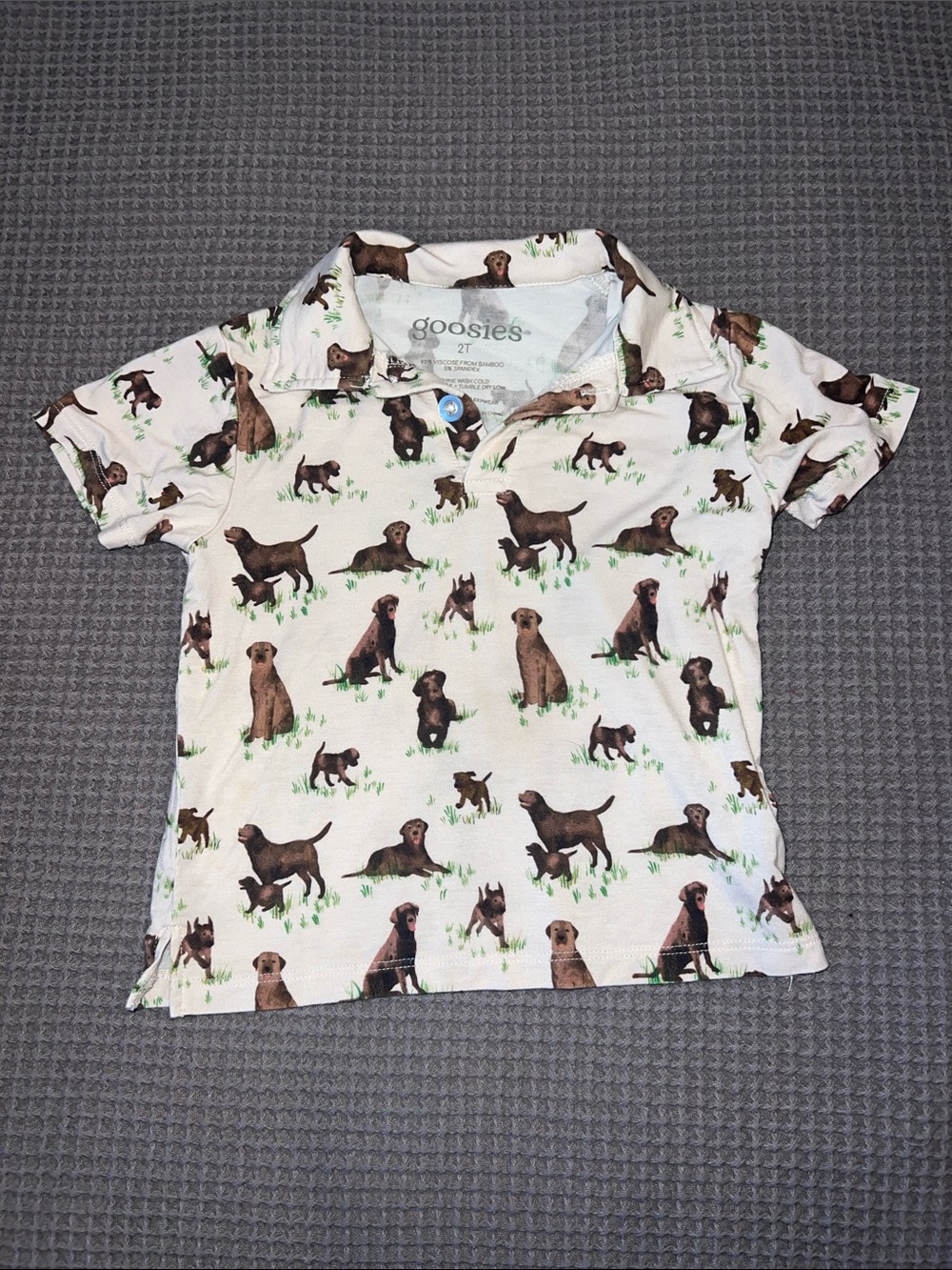 Brown Dog Polo 🐾